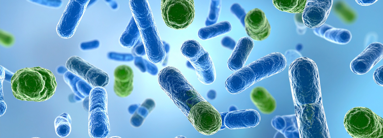 Nyhedsopslag billede (3)